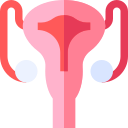 Icons Images